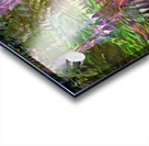 Svelt Velvet Sunrise Acrylic print