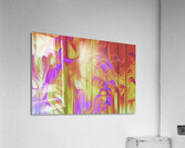 feathers and fire  Acrylic Print