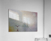 a lullible gulliby  Acrylic Print