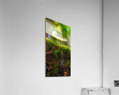 magic underfoot  Acrylic Print