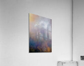 into the mystic  Acrylic Print