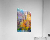 Merge  Acrylic Print