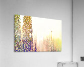 tricksters glow : landscape orientation  Acrylic Print