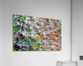 a perfectly sticky siuation  Acrylic Print