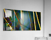 Bamboozled  Acrylic Print