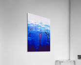 bow pod  Acrylic Print