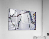 beakaboo   landcape orientaton  Acrylic Print