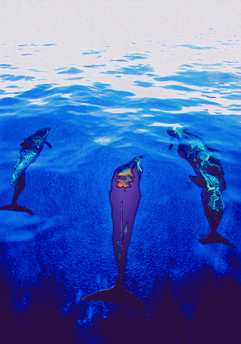 Impression de cadre personnalisé