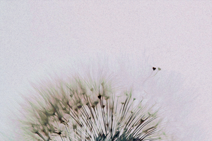 fly away with me