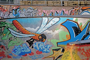 hastings bowl fly