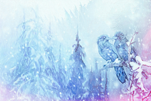 love birds