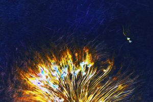 sparks and hearts rising