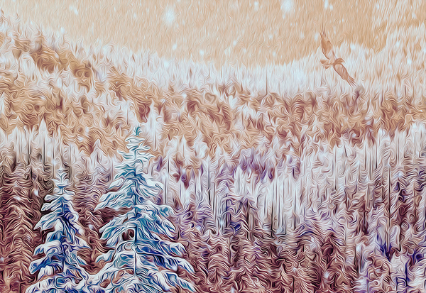 soaring over the hearts of the Kootenais by shawn morris creative