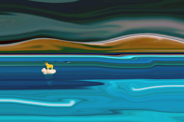 help by shawn morris creative