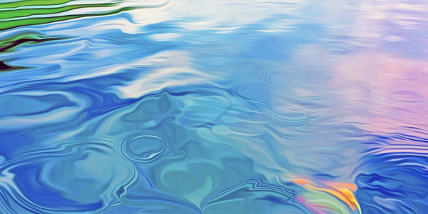 Paws for reflection : panoramic orientation by shawn morris creative