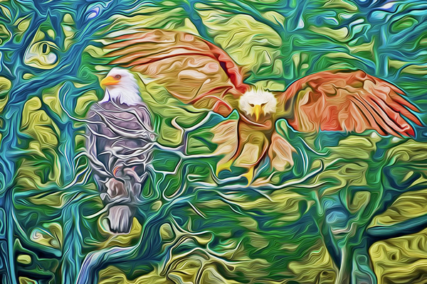 passing generations by shawn morris creative