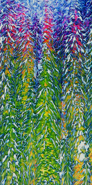 presimmon cardigan coniferous sunrise  by shawn morris creative
