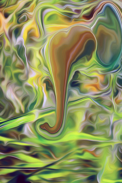 psycadeliphant by shawn morris creative
