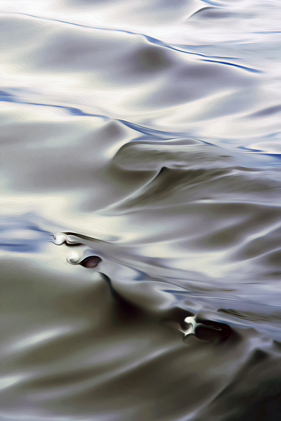 rolling in the deep  by shawn morris creative