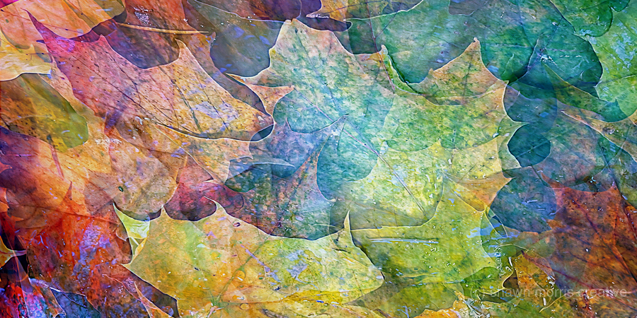 september super natural  Print