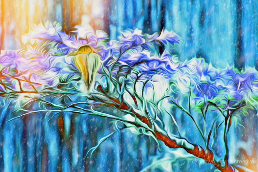 winter moss hawk  Print