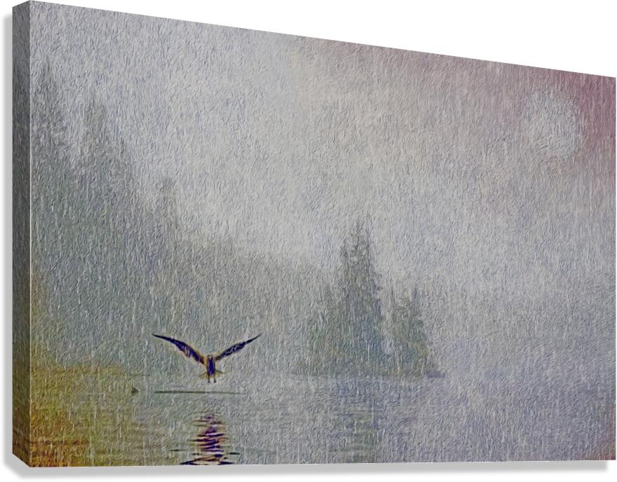 a lullible gulliby  Canvas Print
