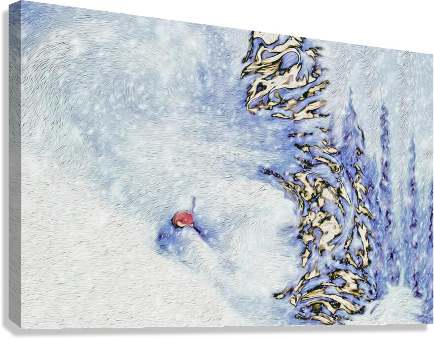 low light delightful double overhead Canvas Print