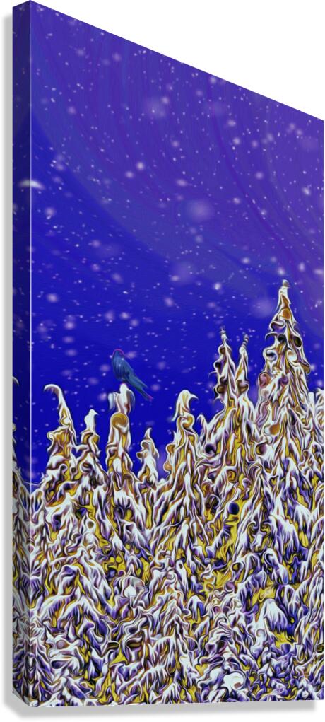  day turns to night Canvas Print