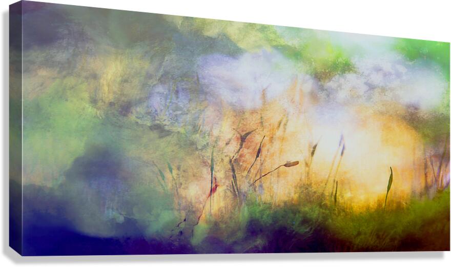 early bird  Canvas Print