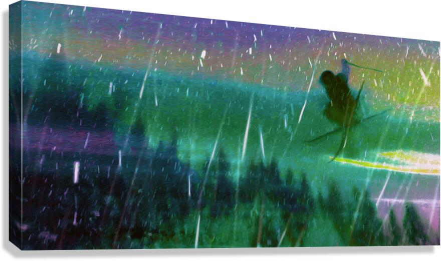 last light flight over the northern delights Canvas Print