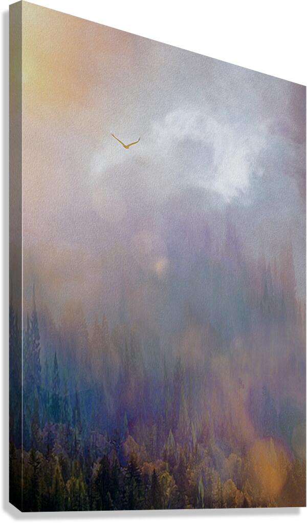 into the mystic  Canvas Print