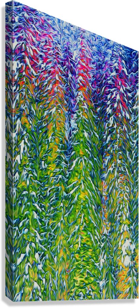 presimmon cardigan coniferous sunrise  Canvas Print