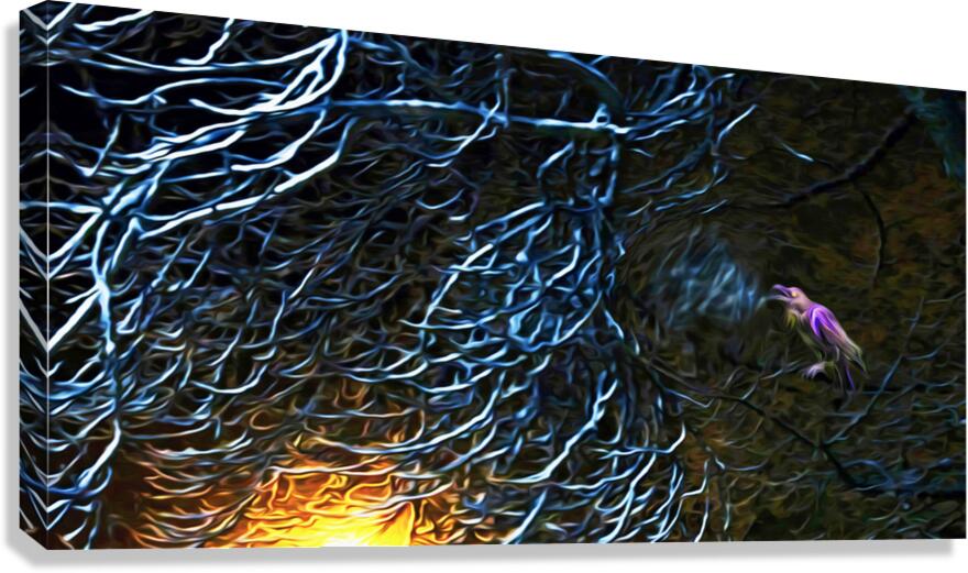 night Caw Cawler : Panoramic Orientation  Canvas Print