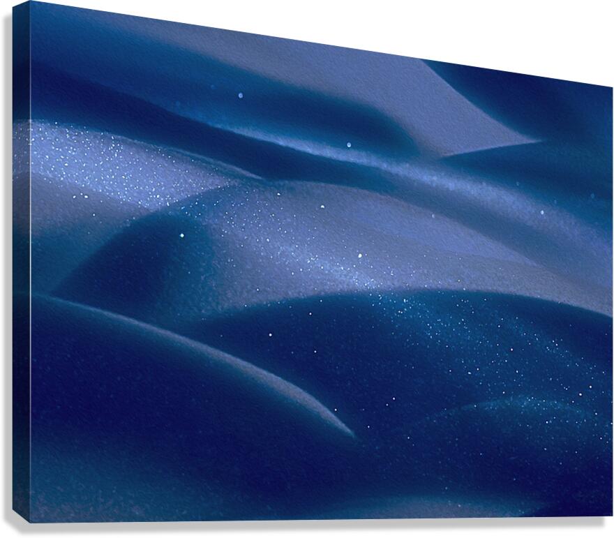 minus 40 midnight moon dust  Canvas Print