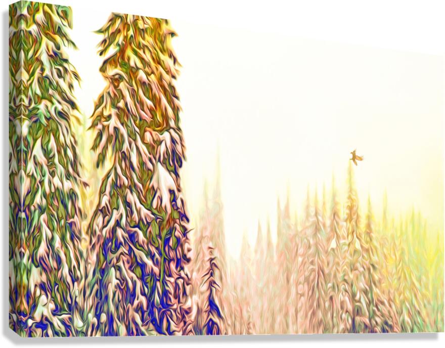 tricksters glow : landscape orientation  Canvas Print