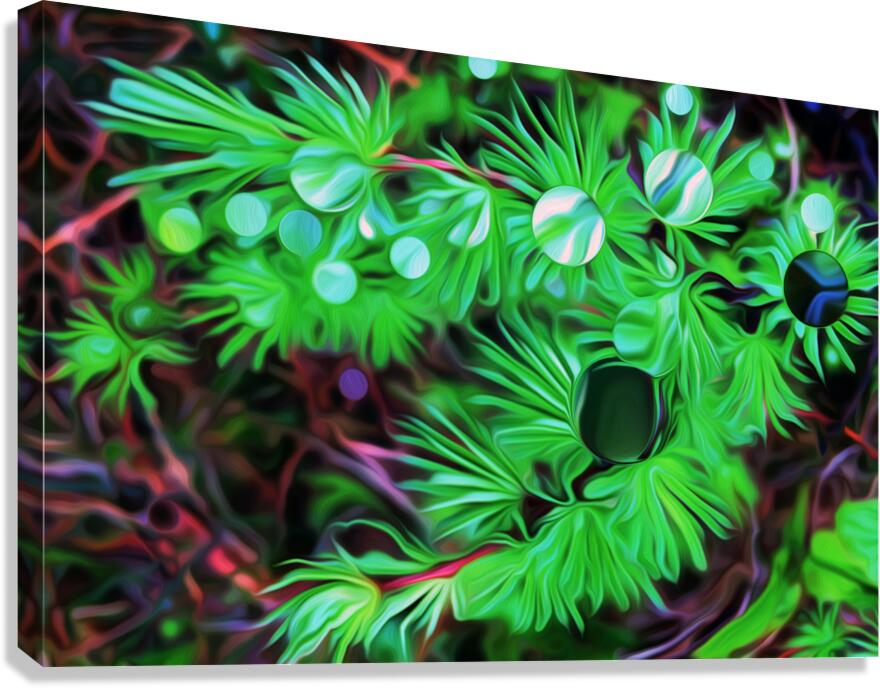 the black pearl of grose morne Canvas Print