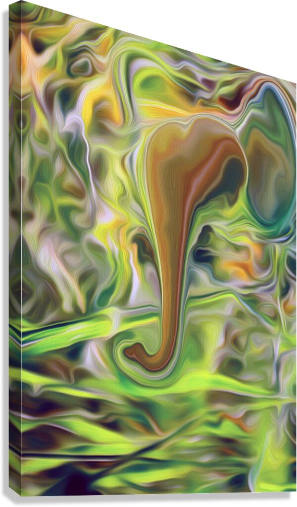 psycadeliphant  Canvas Print