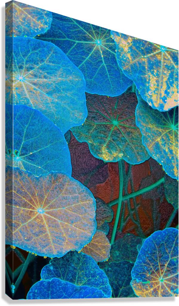 avatar star fowers Canvas Print