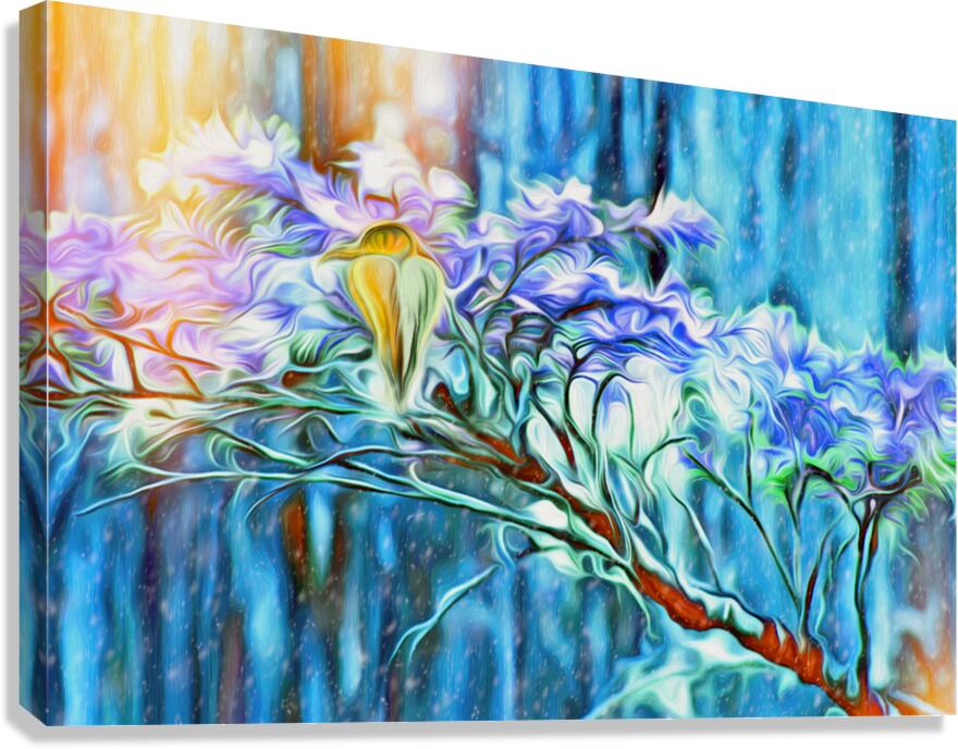 winter moss hawk Canvas Print