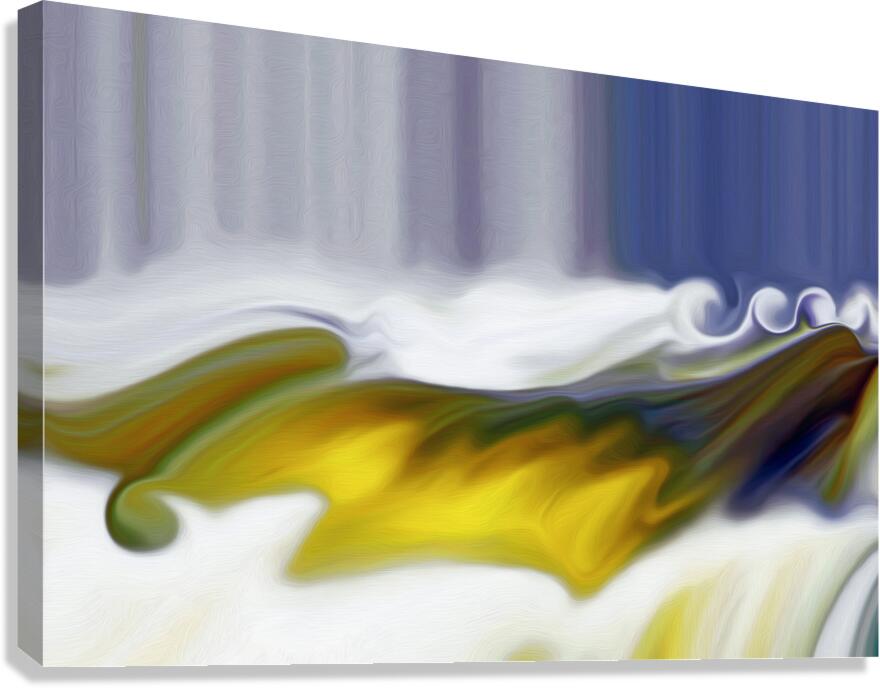 24 karat may day magico Canvas Print