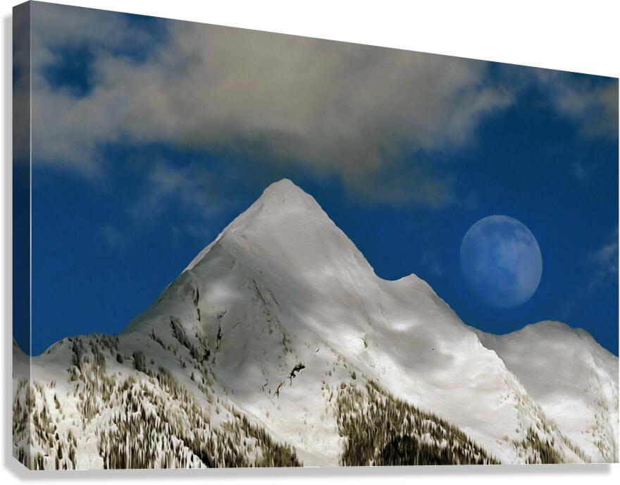 loki dokee moon shadows  Canvas Print