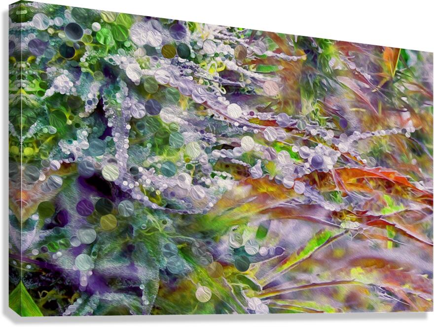 a perfectly sticky siuation  Canvas Print