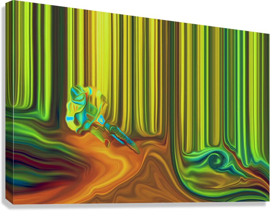 dirt burglar Canvas Print