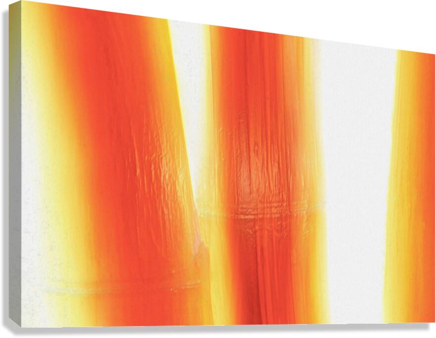 Feather Light bambeautiful  Canvas Print