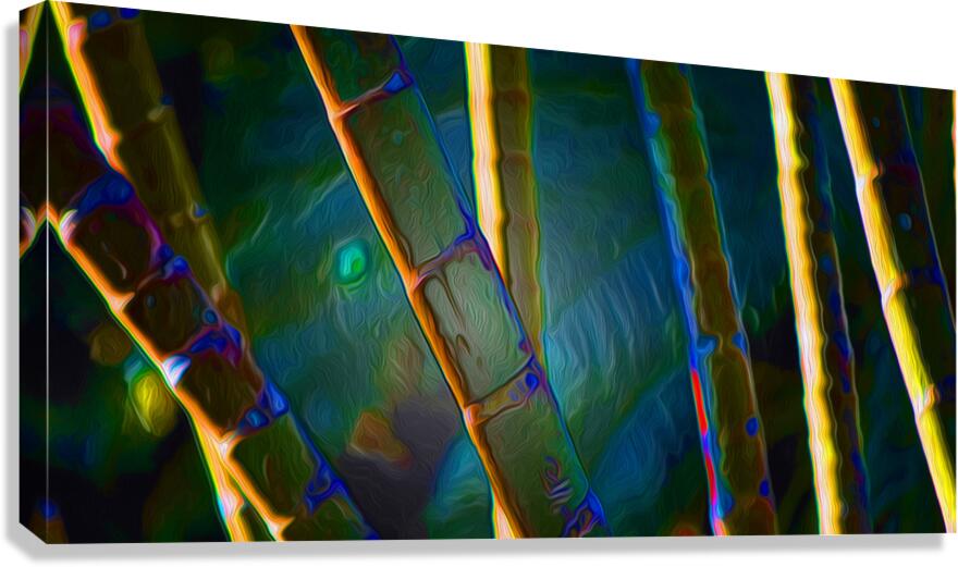 Bamboozled  Canvas Print