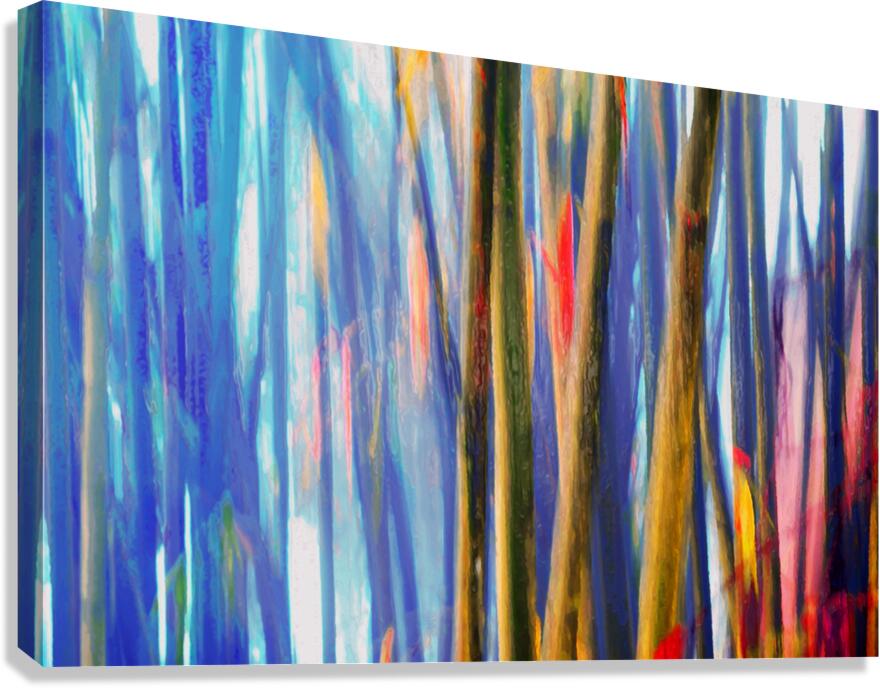 true blue bambooster Canvas Print