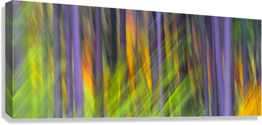 fired up Canvas Print