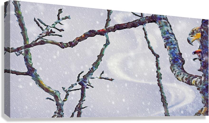 beakaboo panoramic orientation  Canvas Print