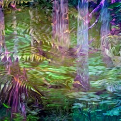 Svelt Velvet Sunrise