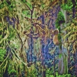 warm and fuzzy aBearitions